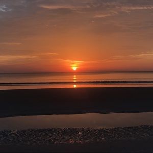 Meet your Posher, Ally